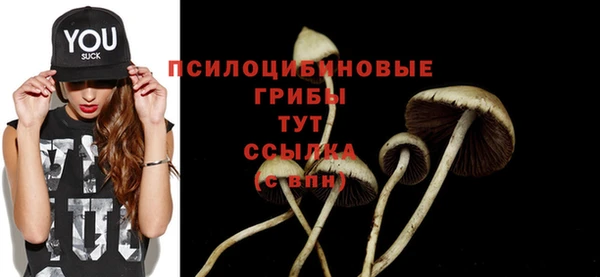 ГАЛЛЮЦИНОГЕННЫЕ ГРИБЫ Богородицк