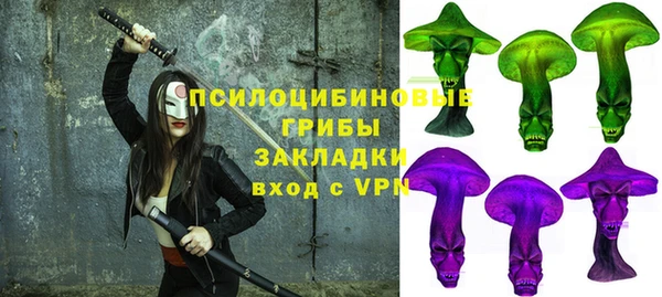 ГАЛЛЮЦИНОГЕННЫЕ ГРИБЫ Богородицк