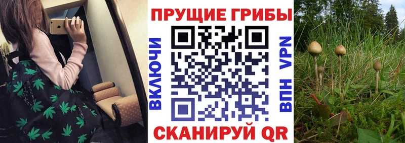 Псилоцибиновые грибы MAGIC MUSHROOMS  Верхний Уфалей 